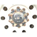 Previous Part Detail 1